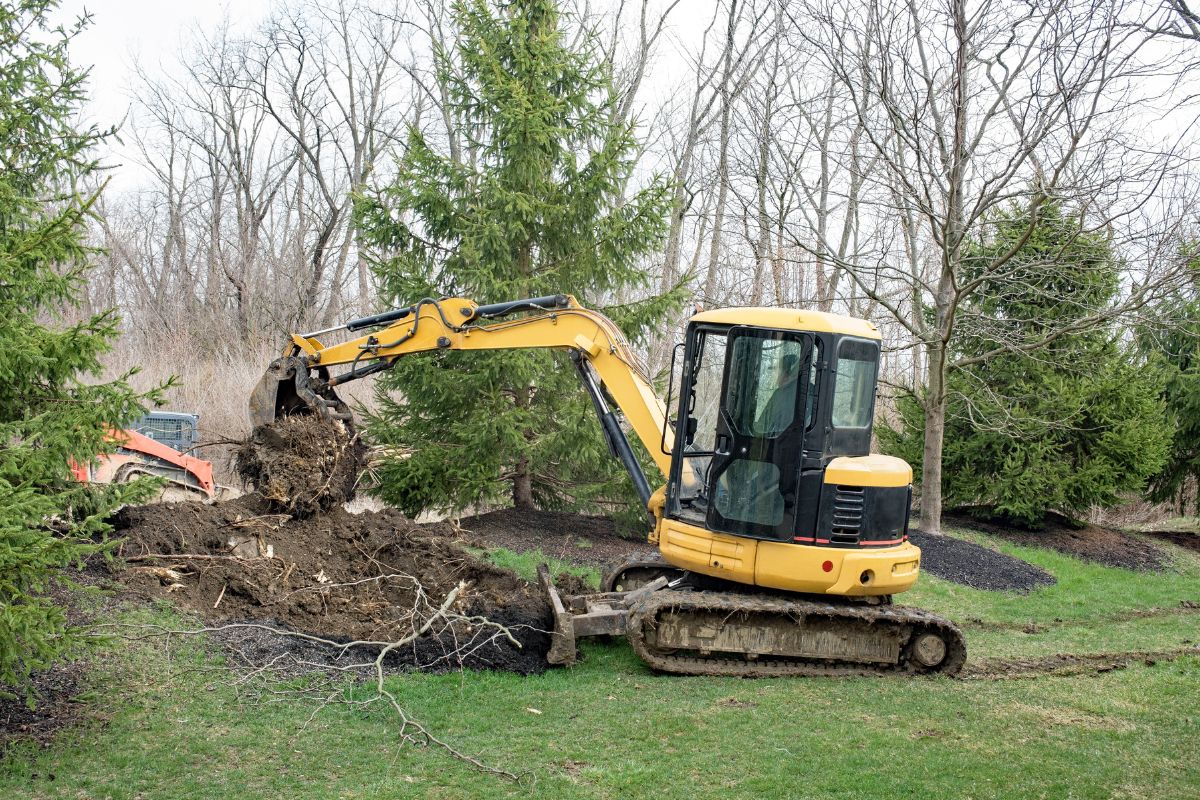 Root Intrusion Removal